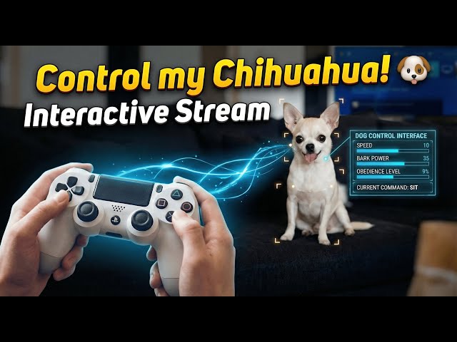 Control my Chihuahua! 🐶 Interactive Stream