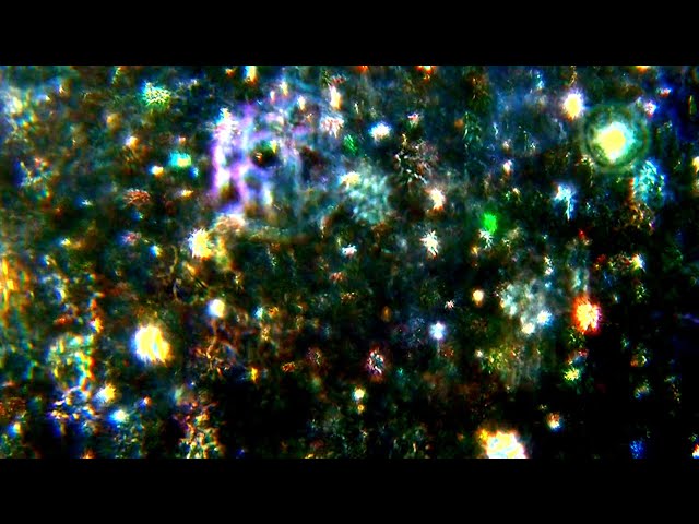 4K Visuals - Siliceous Microfossil Light Show - Radiolarians