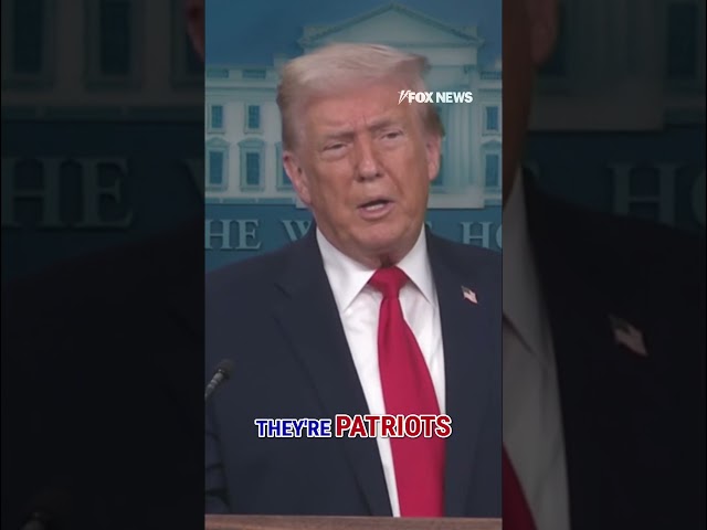 Trump: Don Lemon is a 'LOSER' #shorts #politics #usa #trump #foxnews #news #us #politicalnews