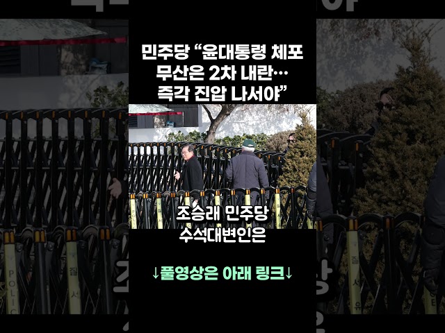 민주당 "윤 대통령 체포 무산은 2차 내란…즉각 진압 나서야"