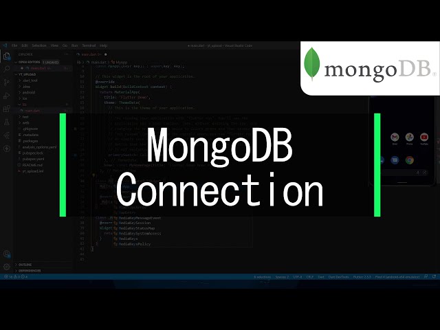 MongoDB Connection Setup  -  Flutter
