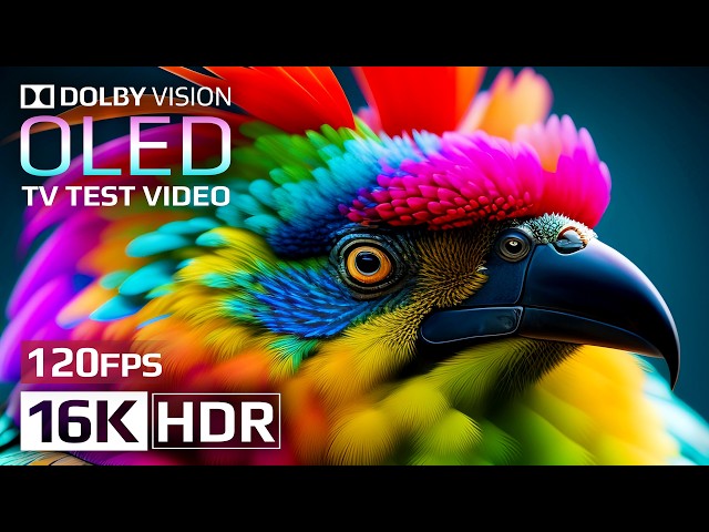 OLED TEST | Amazing Earth 🌏 Best of Dolby Vision 16K HDR 120fps