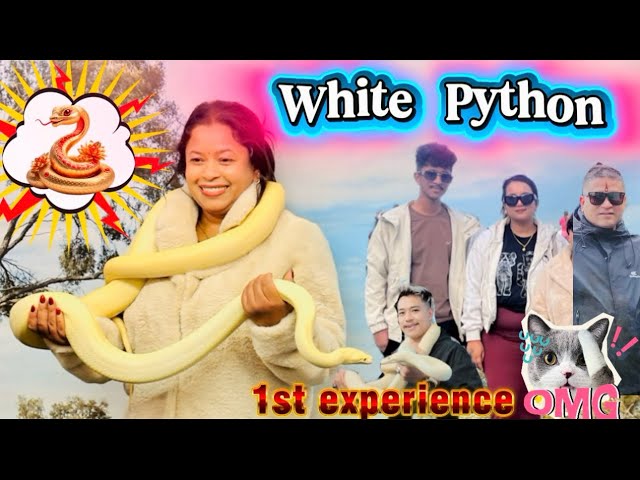 How It Felt: That First-Time Life Experience with a white Python 😱🐍🇳🇵🇦🇺||Sabsam||