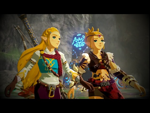 Can Zelda and Smelda fight without LINK?