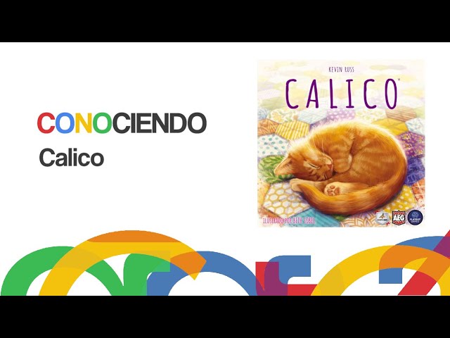 Getting to Know Calico
