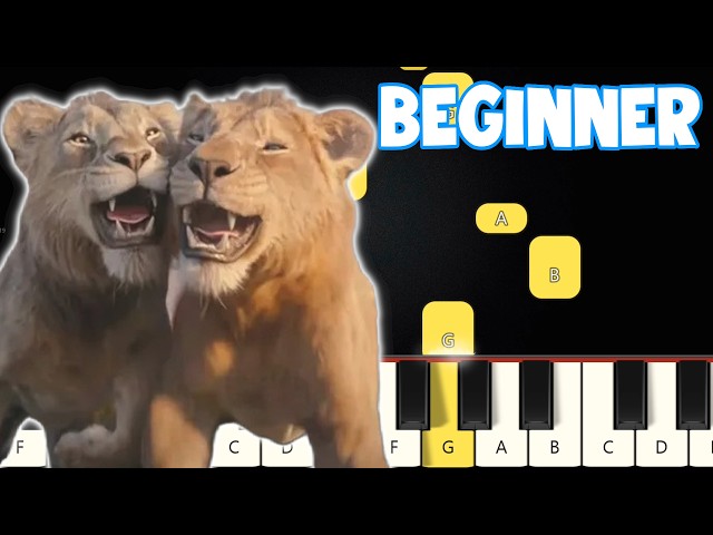 I Always Wanted a Brother Mufasa - The Lion King | Beginner Piano Tutorial | Easy Piano