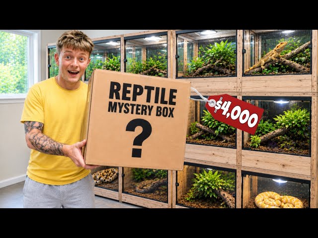 I WAS SENT A $3,500 REPTILE MYSTERY BOX!