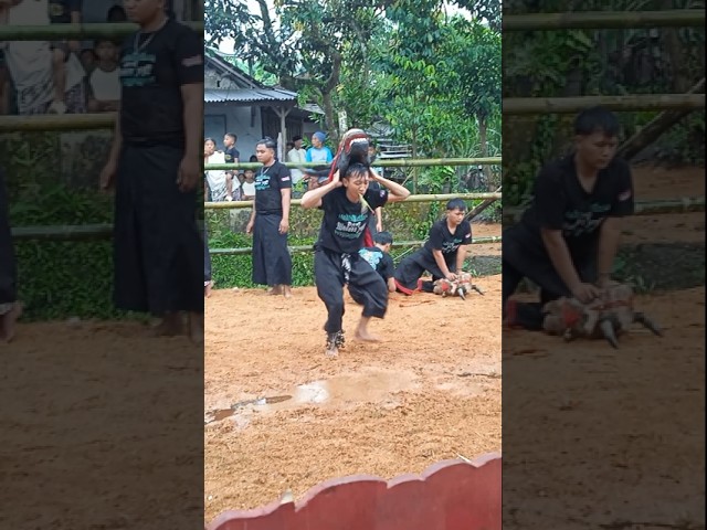 PUTRO WASESO JOYO | #culture #carnaval #sports #trip #art #shorts #subscribe