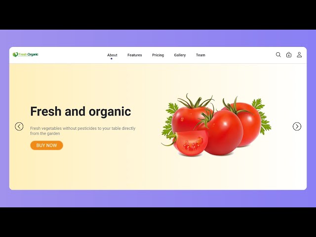 Responsive Food Delivery Website Using HTML CSS & Javascript.