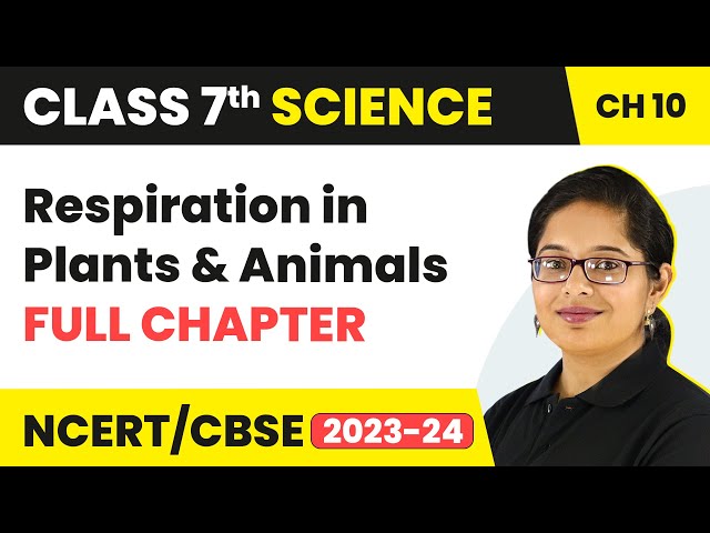 Respiration in Plants and Animals Full Chapter Class 7 Science | NCERT Science Class 7 Chapter 10