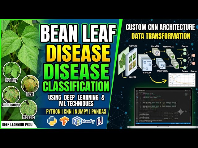 Bean Leaf Disease Classification: Step-by-Step Python Deep Learning Project