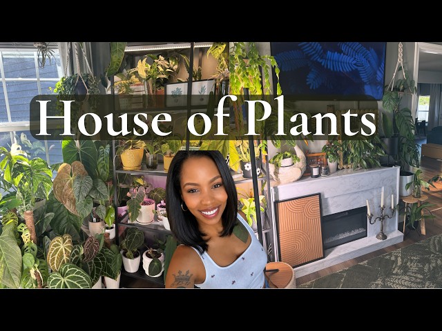 Touring My Plant Filled Home 🌿 400+ Houseplants