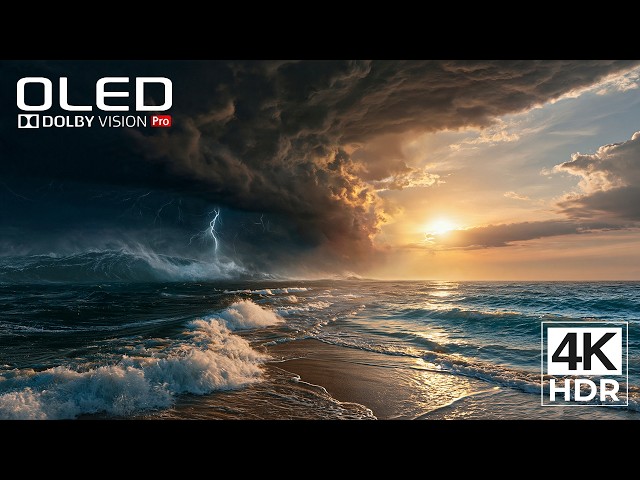 The Finest Details Come Alive in 4K | Ultra HD HDR 60FPS Dolby Vision