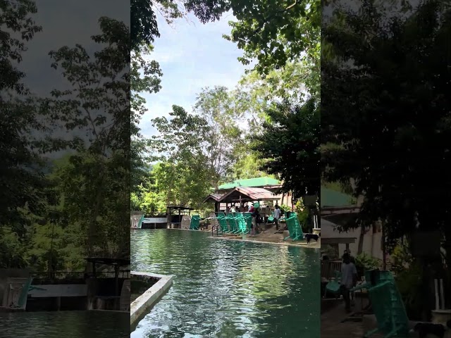 Lonoy cold spring!🩵