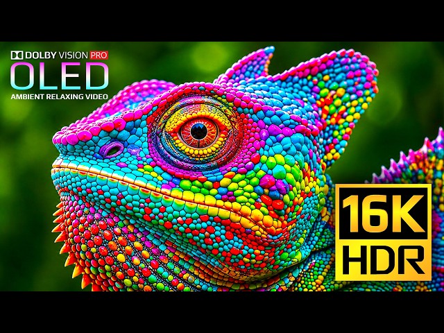 Unbelievable 16K 120fps Video | BEST HDR Nature & Animals Dolby Vision | 4K Video • 8K Ultra HD TV