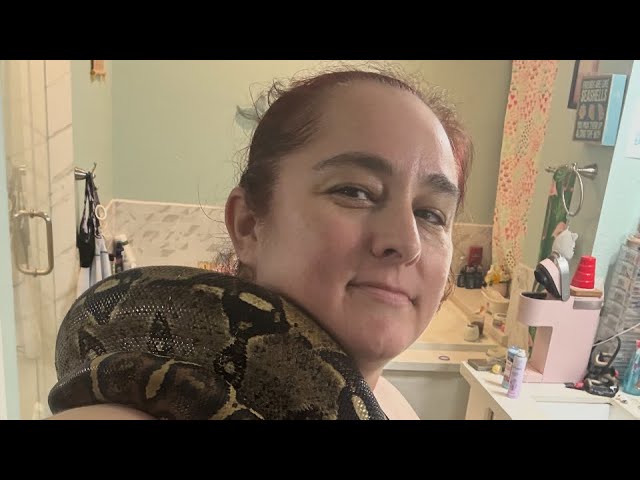 “Daily vlog 12”!#turtle #snake #reptiles #love #life #2026 #cute #cuteanimal #pets 