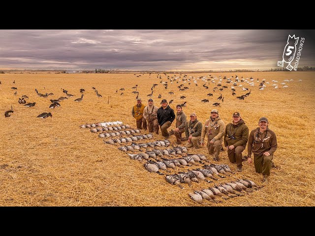 8 LIMITS IN 1 HOUR! Freelance Goose & Duck Hunting Combo | #ROADSHOW25 HUNT 5