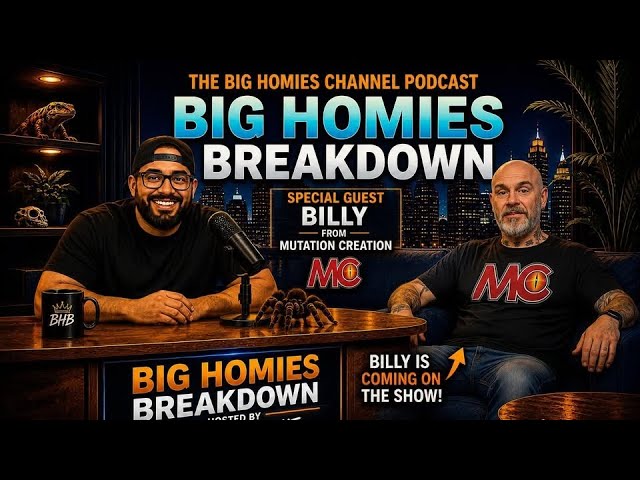🔥 Billy Roe of Mutation Creation Joins The Big Homies Breakdown LIVE! 🐍