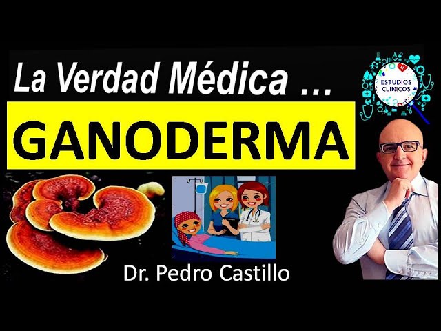 🌸GANODERMA (HONGO REISHI) 🔍PARA QUÉ SIRVE y para qué NO según la Evidencia Médica 📘Dr PEDRO CASTILLO