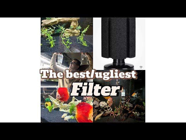 How to set up sponge filters! step by step guide