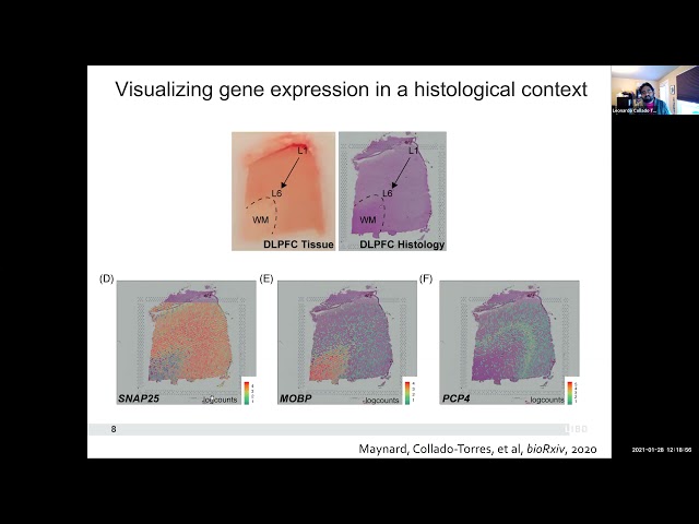 [2021-01-28] Expanding the resolution of gene expression analyses (CDC/ATSDR R User Group)
