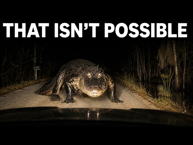 9 Predators Hiding in Georgia That Grow Far Bigger Than They Should