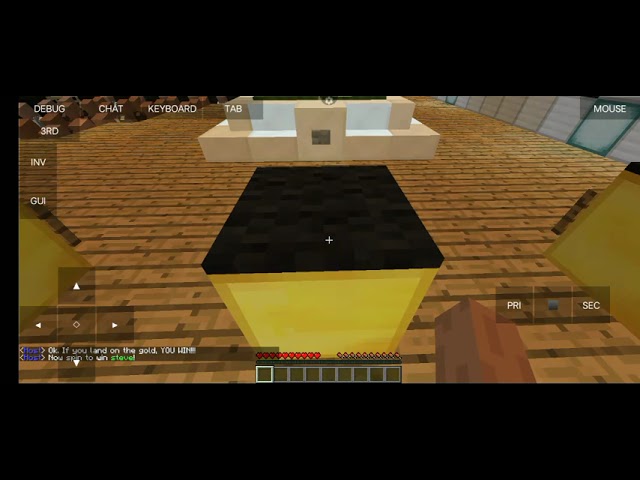 Minecraft Java 1.8 Asleep part 1