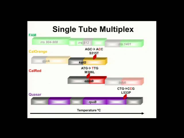 Construction & Evaluation of an M(X)DR-TB Multiplex Assay using LATE-PCR & Thermalight™ Probes
