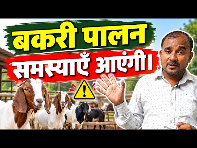 Goat Farming Challenges! Problems Will Arise Vimalumrao