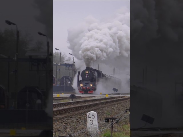 Pt47-65🚂 z pociągiem "POZNAŃCZYK" | 11.11.2024 #parowozy #poland #dampflok #railway #steamlocomotive