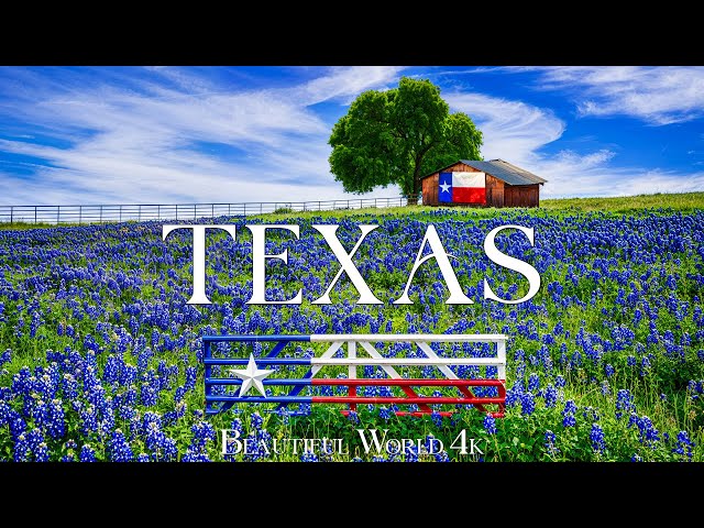 Spring Texas 4K - Bluebonnet Trails and Golden Light of Spring Awakening - Piano Music