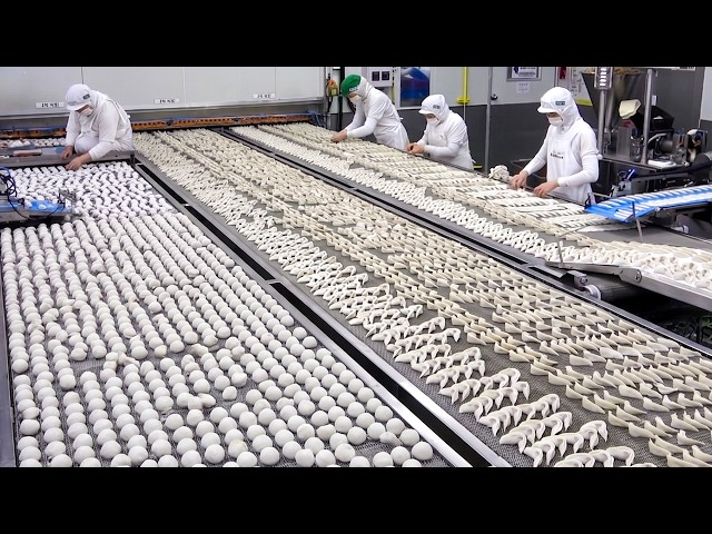 20 Tons of Frozen Dumplings Pour Out Nonstop Every Day. Food Mass Production Factory