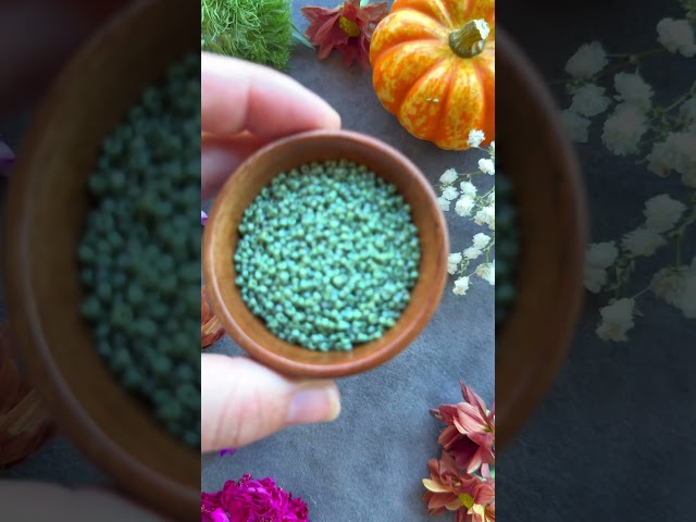 Miyuki Seed Bead Color combo #beaded #jewelry DIY Tutorials by Capital City Beads #asmr