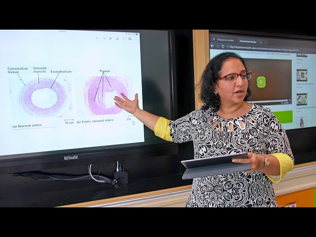 Digital Classrooms