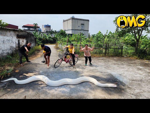 4 Brave Hunters Confront a Giant Snake in an Abandoned House