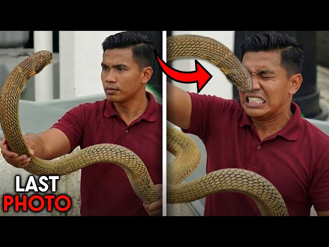 The Most HORRIFYING Snake Attacks Ever Recorded On Camera!