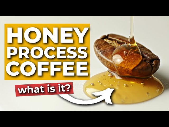 Why Honey Processed Coffee is ACTUALLY Worth It