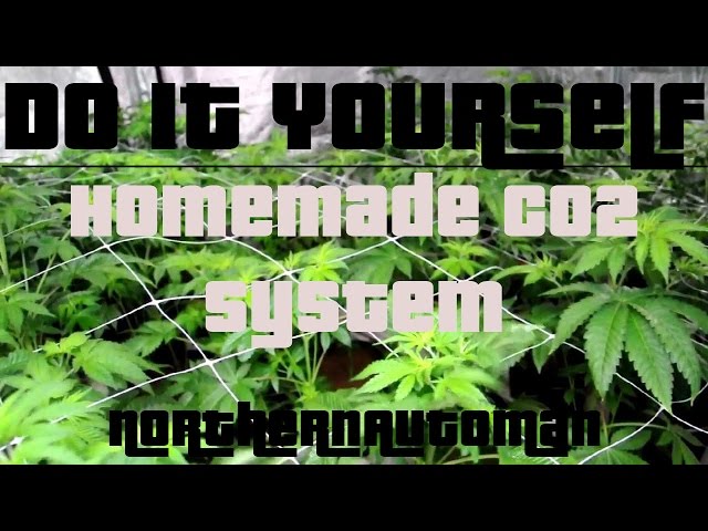 DIY - Homemade CO2 System for Indoor Marijuana Plants  -  EASY