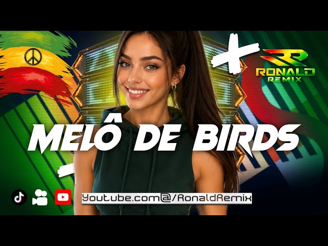 REGGAE REMIX  - MELÔ DE BIRDS - NEW VERSION - REGGAE INTERNACIONAL 2026 - EXCLUSIVO  @RONALDREMIX