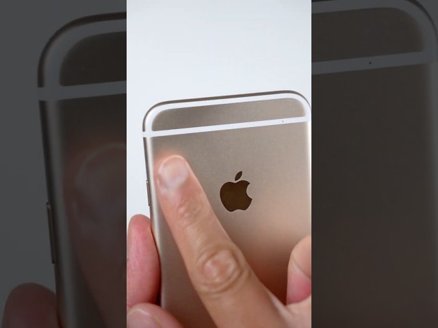 ¿iPhone sin cámara?