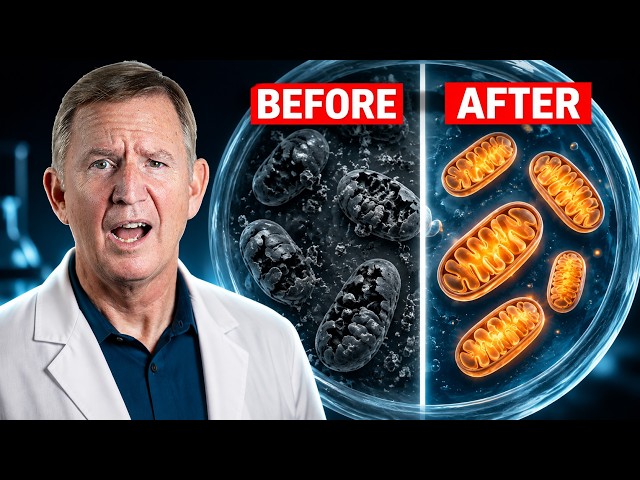 Can This Supplement REVERSE Mitochondrial Damage?
