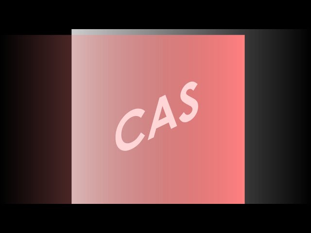 Code Along Studio Live Stream
