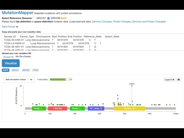 User-friendly Mutation Analysis using WGS Data - Tutorial with Example