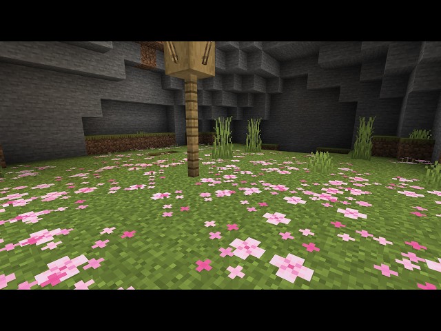 Rating bases Donut SMP + e-chest loot