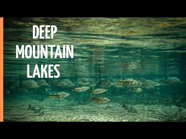The Fascinating Wildlife in Deep Mountain Lakes | Full Documentary