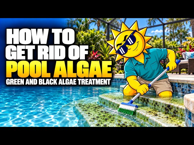 How to Get Rid of Pool Algae: Green and Black Algae Treatment