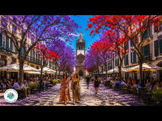 Funchal Madeira 2026 🇵🇹 | Portugal's Atlantic Paradise | 4K Walking Tour 60 FPS with Captions