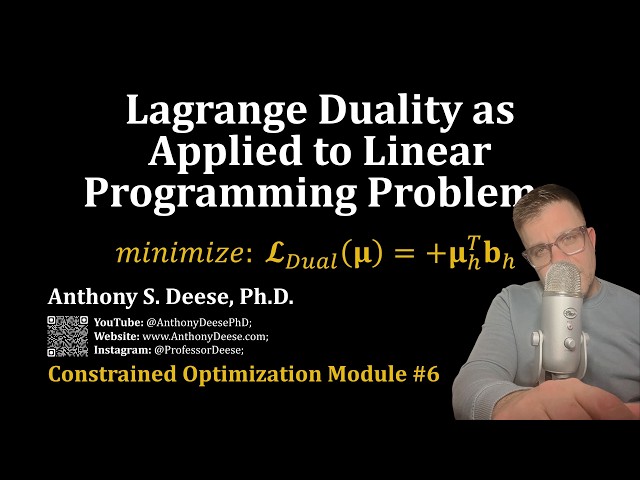 Duality Applied to Linear Programming Optimization Problems