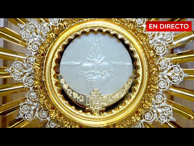 🔴 Adoración al Santísimo en vivo de hoy 🙏 20 de agosto de 2026