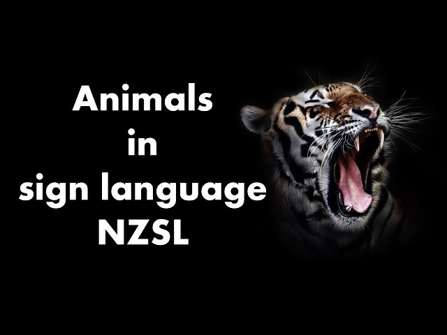Learn Fun Animal Signs in New Zealand Sign Language (NZSL) More than 20 signs to learn here